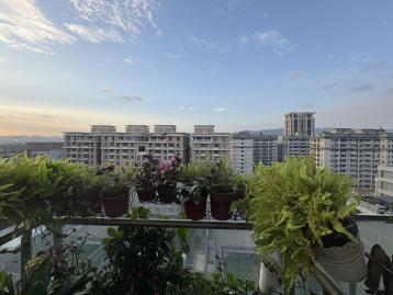 三峽北大買屋達人 台北大次頂樓精美裝潢四房