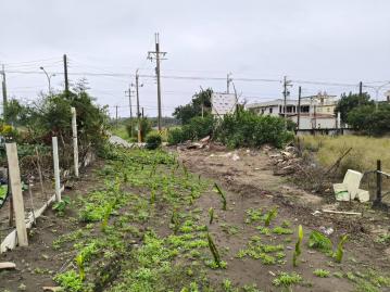 城區房仲顧問 壯圍濱海正大路邊溫室農地