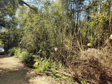 羅東數位房仲 桃園復興擁有二甲低總價林地