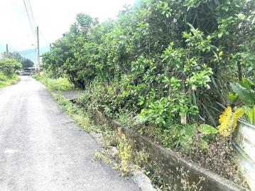 中山休閒農業區柚香滿園一甲園地
