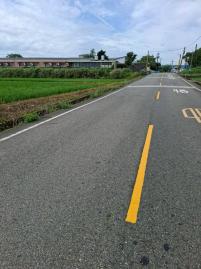 觀音正金橋路農地