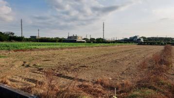 新屋區寶樹路巷內農地
