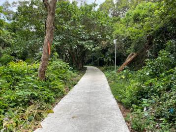 金陵路獅子林商圈農地
