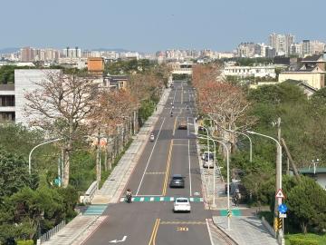桃園商用地產顧問 中央大學都內農