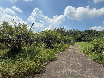 阿名工業地產 燕巢臨16米大路建地+農地