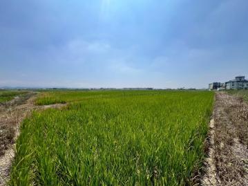 官田角秀段二鎮重劃區1755坪增值地