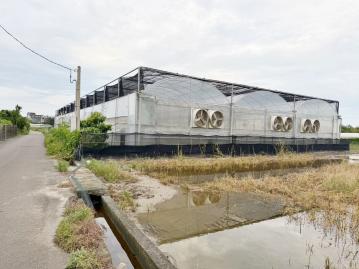 安南區1688有合法溫室都內農地-台南金牌房仲