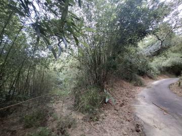 苗栗不動產達人 頭屋二岡坪農牧用地