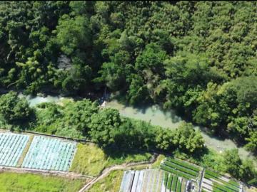 苗栗不動產達人 苗栗縣獅潭鄉近豐林國小台三線旁休閒農地