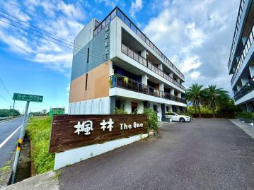 宜蘭房產達人 三星楓林3房附小農地露臺美透天~台灣房屋小豬