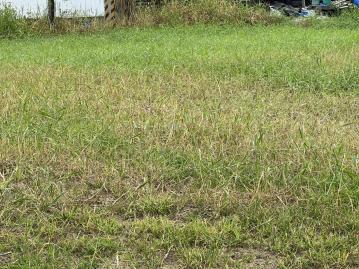 高雄土地職人 路竹環球路近交流道裡的漂亮農地