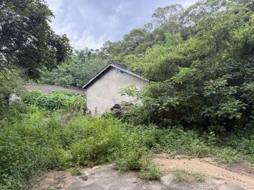 通霄土地達人 福龍近西湖大地坪農牧地