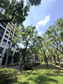 大安豪宅顧問 富邦藝樹高樓美景