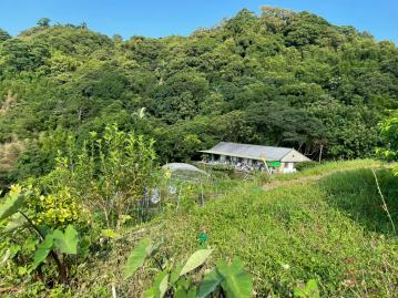 桃園房仲郭姐 文山老泉開心農園