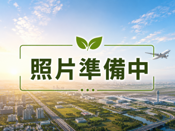 大園土地達人 航空城安置街墎建地