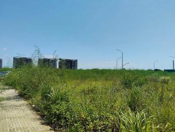 大園土地達人 大園稀有角地｜25米／15米雙面臨路