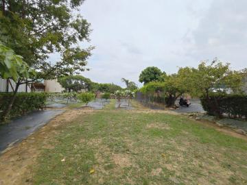 中壢房仲小艾 八德大庄段12米路一般農