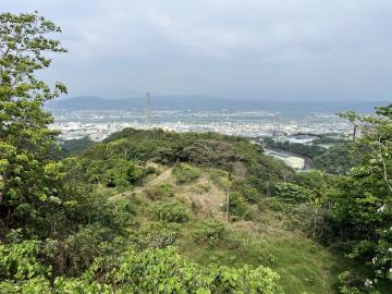 南投草屯在地房仲 南投新草尾嶺段低總價景觀美農地