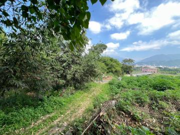 埔里房仲林阿姐 埔里溪南大地坪農地