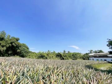 高雄房地專家 近嶺口交流道1.5分低總價農地