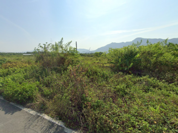 高雄房地專家 旗山大林9.94分農地