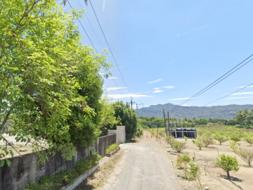 高雄房地專家 旗山近圓潭國小3.48甲農地+建地