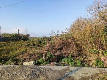 雲林房地達人   大路邊農地