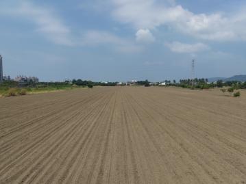 岡山土地廠房專家 岡山和平國小旁｜都計內農地｜臨路好進出｜置產首選