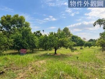 台中海線買房 在找土地這塊別錯過!! 約臨4-5米路