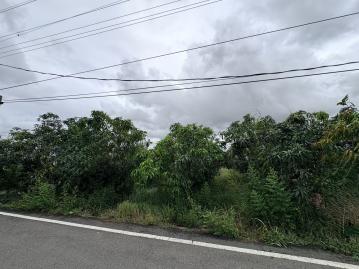 台南農建地專家  阿蓮高鐵便道旁724農地