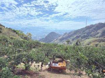 房產顧問飛妮 苗栗大湖鄉百坪丙建3500坪農牧用地