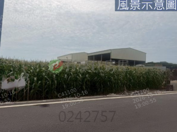 雲林土地 元長信義方正農地