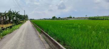 高雄買房永彬旗山廣福段香蕉園農地臨路長方形