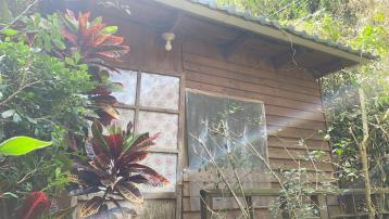 台南房地買賣 新化中興林場後花園小木屋
