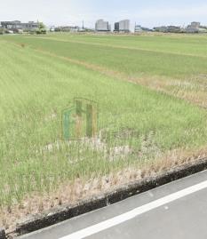 小雨地產探長 宜蘭高鐵重劃區段徵收