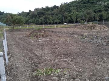 玉里193線旁農業區建地
