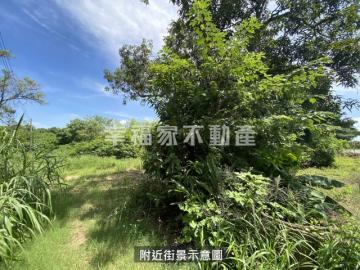 歸仁高發潛力大坪數農地