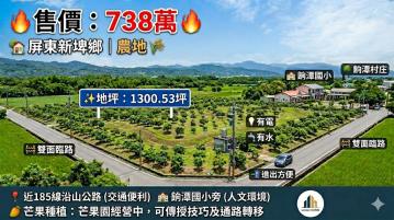 屏東*新埤餉潭國小旁.近沿山公路*一般農