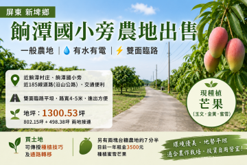屏東*新埤餉潭國小旁.近沿山公路*一般農