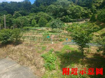 K386竹崙牛角坑景觀農地 三峽土地中信劉蕙蘭