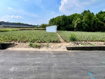 南投房地產 名間大埔巷343坪農地+小農舍