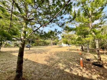 南投房地產 名間仁和村景觀休閒農地1.9甲