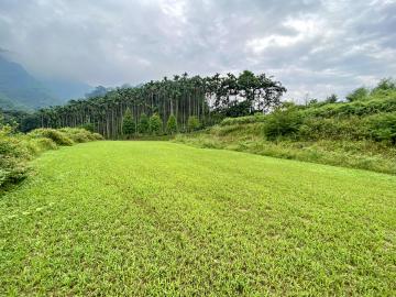 南投房地產 竹山田東景觀農地1 .7甲