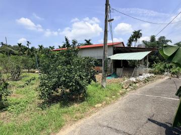 南投房地產 分水寮平坦柑橘園5分+大工寮