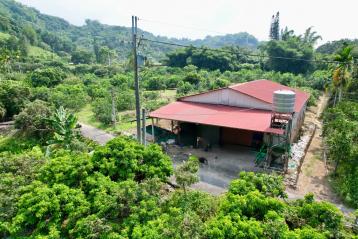 南投房地產 分水寮平坦柑橘園5分+大工寮