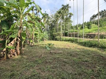 南投房地產 中寮內城低總價休閒農地2.6分