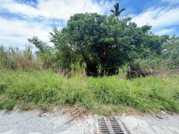 知本畸零地建地 台東農地農舍 台東土地買賣