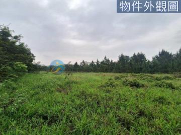 龍潭美地
