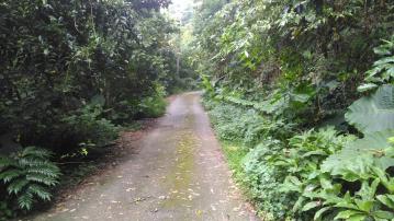台中買屋賣房鹿谷秀峰農場旁坪子頂段建地農林土地王劉志忠