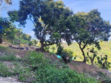 台中買屋賣房霧峰區桐林山莊一期中坑休閒景觀農地(3)